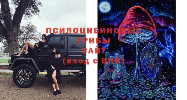 круглые Алексеевка