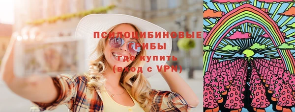 круглые Алексеевка